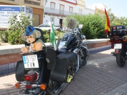 XVI Concentracion - 2009